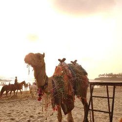 Kashid Beach (nearby) - Vasai