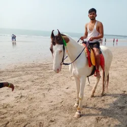 Kashid Beach (nearby) - Vasai