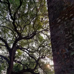 St. Joseph's Church, Vasai - Vasai