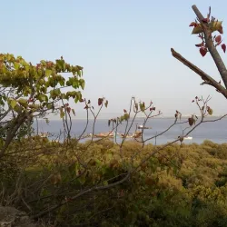 St. Joseph's Church, Vasai - Vasai