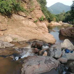 Amirthi Zoological Park - Vellore