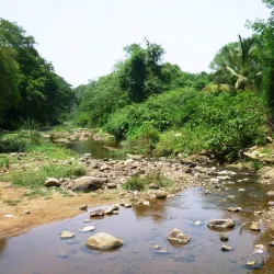 Amirthi Zoological Park - Vellore