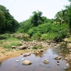 Amirthi Zoological Park - Vellore