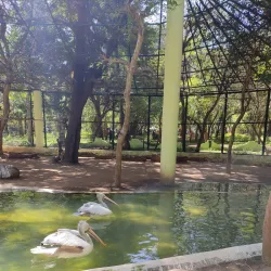 Amirthi Zoological Park - Vellore