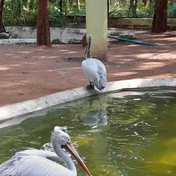 Amirthi Zoological Park - Vellore
