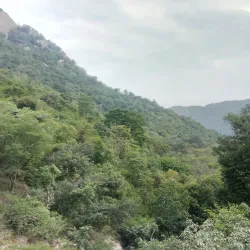 Yelagiri Hills - Vellore