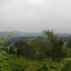 Yelagiri Hills - Vellore