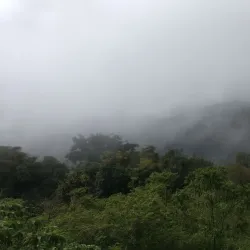 Yelagiri Hills - Vellore