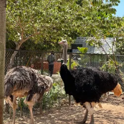 Yelagiri Hills - Vellore