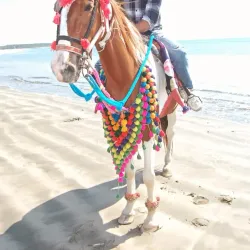 Somnath Beach - Veraval