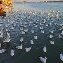 Triveni Sangam - Veraval
