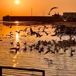Triveni Sangam - Veraval