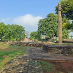 Heliodorus Pillar - Vidisha