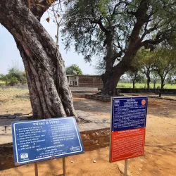 Heliodorus Pillar - Vidisha