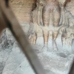 Udayagiri Caves - Vidisha