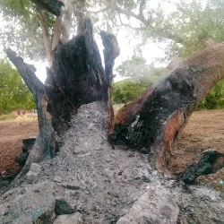 Sundaram Pillai Park - Virudhunagar