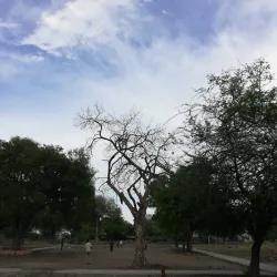 Sundaram Pillai Park - Virudhunagar