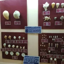 Virudhunagar District Museum - Virudhunagar