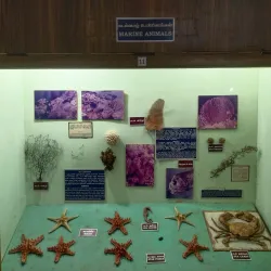 Virudhunagar District Museum - Virudhunagar