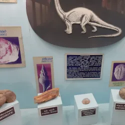 Virudhunagar District Museum - Virudhunagar