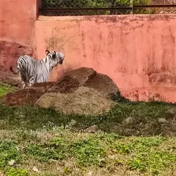 Indira Gandhi Zoological Park - Visakhapatnam