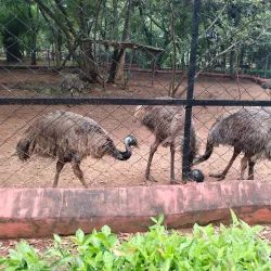 Indira Gandhi Zoological Park - Visakhapatnam