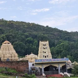 Simhachalam Temple - Visakhapatnam
