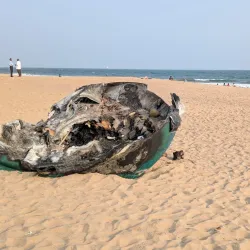 Yarada Beach - Visakhapatnam