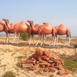 Kalingapatnam Beach - Vizianagaram