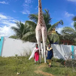 Kalingapatnam Beach - Vizianagaram