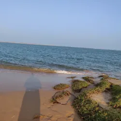 Kalingapatnam Beach - Vizianagaram