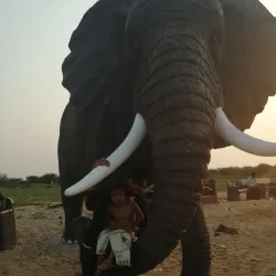 Kalingapatnam Beach - Vizianagaram