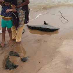 Kalingapatnam Beach - Vizianagaram