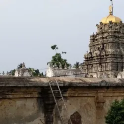 Srikurmam Temple - Vizianagaram