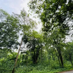 Eturnagaram Wildlife Sanctuary - Warangal