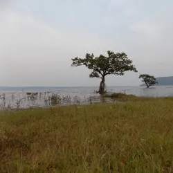Pakhal Lake - Warangal