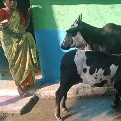 Khandeshwar Mandir - Warud