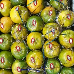 Local Orange Processing Units - Warud