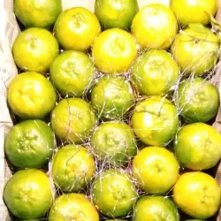 Local Orange Processing Units - Warud