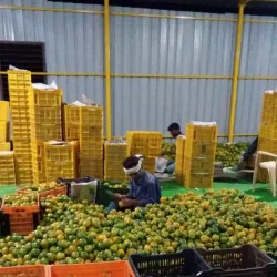 Local Orange Processing Units - Warud