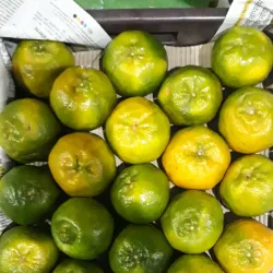 Local Orange Processing Units - Warud