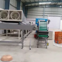 Local Orange Processing Units - Warud