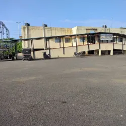 Warud Orange Orchards - Warud