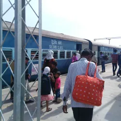Warud Orange Orchards - Warud