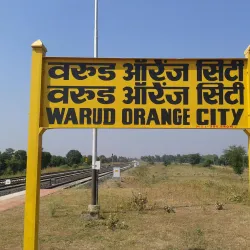Warud Orange Orchards - Warud