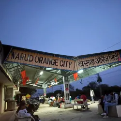 Warud Orange Orchards - Warud