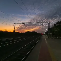 Warud Orange Orchards - Warud