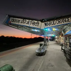 Warud Orange Orchards - Warud