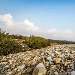 Kalesar National Park - Yamunanagar (Yamuna Nagar)