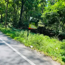Kalesar National Park - Yamunanagar (Yamuna Nagar)
